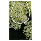 Glatte Hortensie Kleine Geschenktüte (Rückseite)