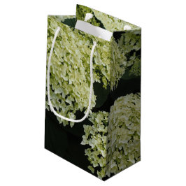 Glatte Hortensie Kleine Geschenktüte