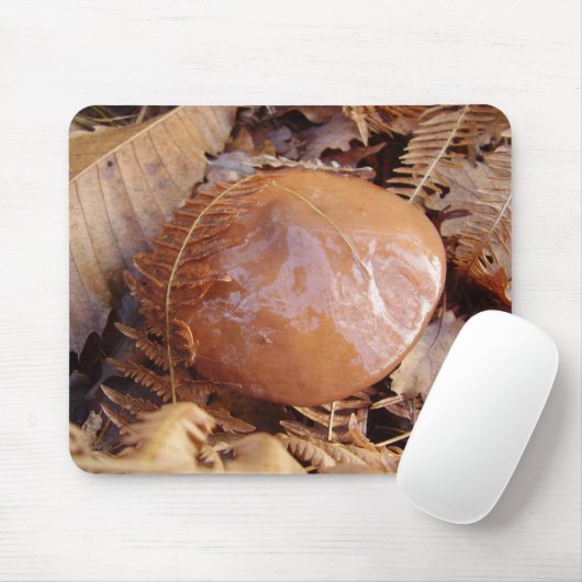 Glatte Jack-Pilz-Mäusematte Mousepad (Mit Mouse)