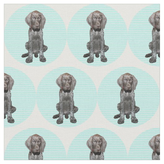 Glatter Graubär im Blau Stoff (Nahaufnahme)