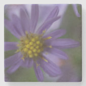 Glattes blaues Astor Steinuntersetzer (Vorderseite)