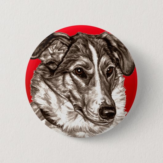 Glattes Collie-Porträt Button (Vorderseite)