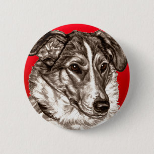 Glattes Collie-Porträt Button