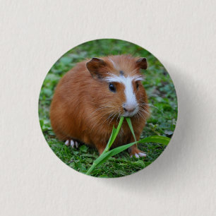 Glattes, kurzes Haar-, Rotes und Button