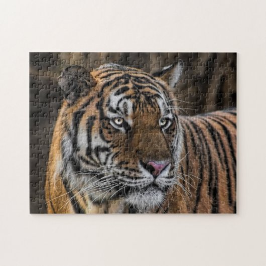Glattes Tiger-Wildkatzen-Gesicht Puzzle (Horizontal)