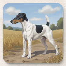Glatthaar-Foxterrier