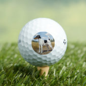 Glatthaar-Foxterrier Golfball (Insitu T-Shirt)