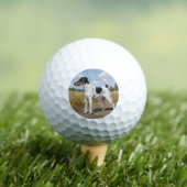 Glatthaar-Foxterrier Golfball (Insitu T-Shirt)