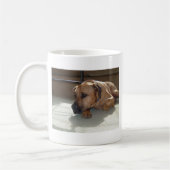 Glattleder Kaffeetasse (Links)