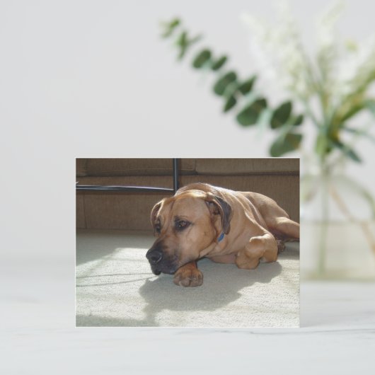 Glattleder Postkarte (Stehend Vorderseite)