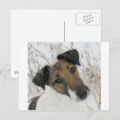 Glattleder Postkarte (Vorne/Hinten)
