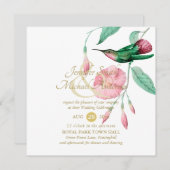 Glattrosa Hummingbird Blume (Vorne/Hinten)