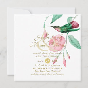 Glattrosa Hummingbird Blume