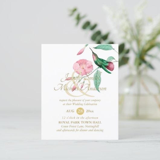 Glattrosa Hummingbird Blume (Stehend Vorderseite)