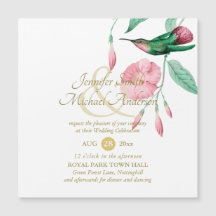 Glattrosa Hummingbird Blume