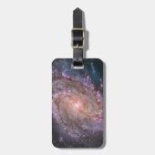 Glattspirale Galaxy Messier 83. Gepäckanhänger (Vorderseite vertikal)