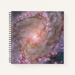 Glattspirale Galaxy Messier 83. Notizblock