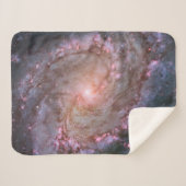 Glattspirale Galaxy Messier 83. Sherpadecke (Vorderseite (Horizontal))