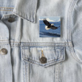 Glatzenadler, Haliäetus leuccocephalus, im Fliegen Button (Beispiel)