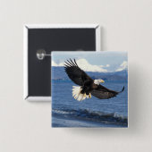 Glatzenadler, Haliäetus leuccocephalus, im Fliegen Button (Vorne & Hinten)