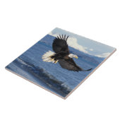 Glatzenadler, Haliäetus leuccocephalus, im Fliegen Fliese (Seite)