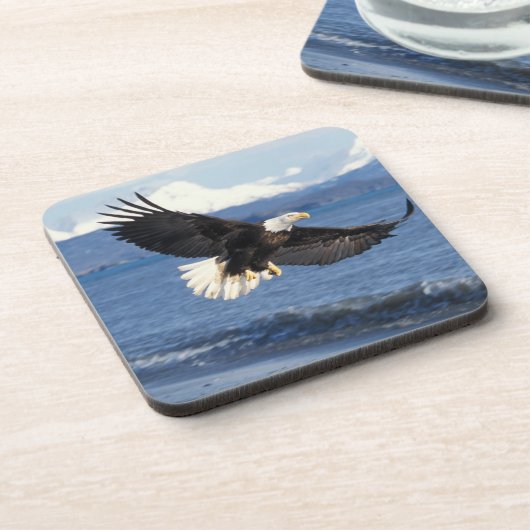 Glatzenadler, Haliäetus leuccocephalus, im Fliegen Getränkeuntersetzer (Linke Seite)