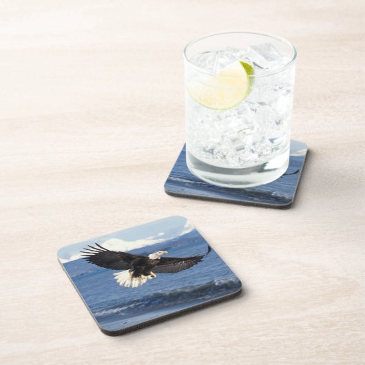 Glatzenadler, Haliäetus leuccocephalus, im Fliegen Getränkeuntersetzer (Rechte Seite)