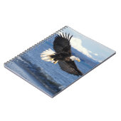 Glatzenadler, Haliäetus leuccocephalus, im Fliegen Notizblock (Linke Seite)