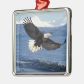 Glatzenadler, Haliäetus leuccocephalus, im Fliegen Silbernes Ornament (Links)