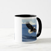 Glatzenadler, Haliäetus leuccocephalus, im Fliegen Tasse (VorderseiteRechts)