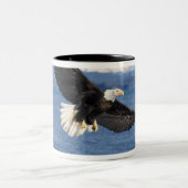 Glatzenadler, Haliäetus leuccocephalus, im Fliegen Zweifarbige Tasse (Mittel)