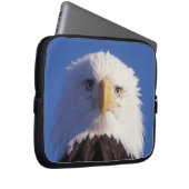 Glatzenadler, Haliäetus leucocephalus, Kopfschuss, Laptopschutzhülle (Vorne Rechts)