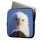 Glatzenadler, Haliäetus leucocephalus, Kopfschuss, Laptopschutzhülle (Vorderseite Links)