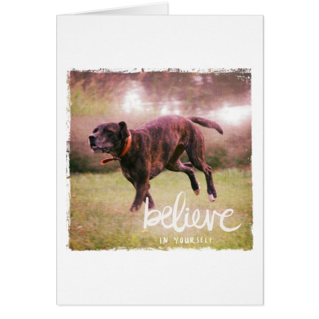 Glaube an deinen Hund (Vorne)