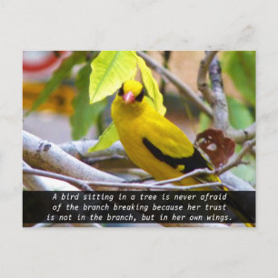 Glaube an dich selbst, Gelber Vogel auf einem Ast Postkarte