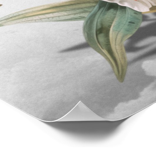 Glaube an dich selbst poster (Ecke)