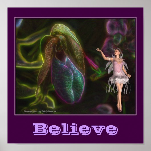 Glaube Fairy und Lady Slipper Inspiration Poster (Vorne)