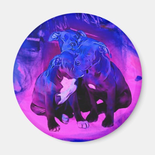 Glaube Hoffnung und Wohltätigkeit, misshandelte Pi Magnet (Vorne)