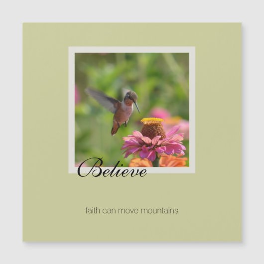 Glaube Hummingbird Pink Zinnia Blume Magnetkarte (Vorderseite)