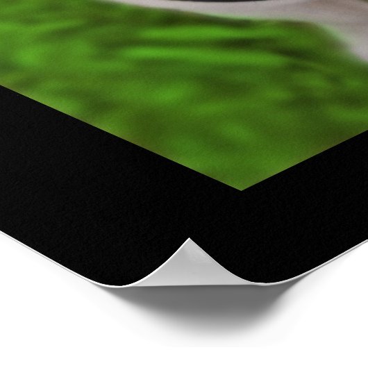 Glaube Mops Frog Poster (Ecke)