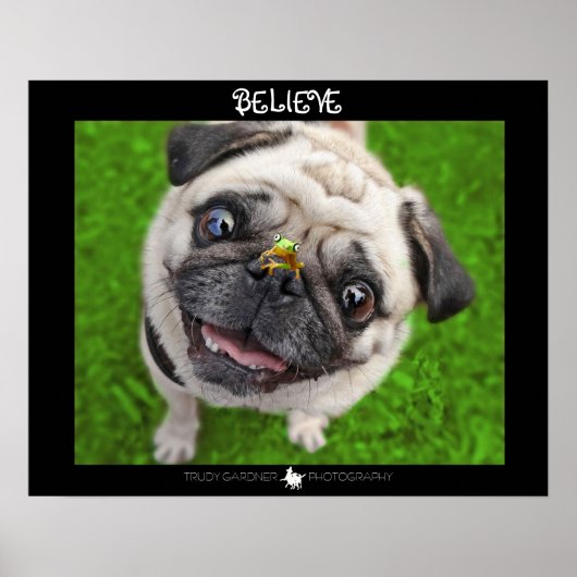 Glaube Mops Frog Poster (Vorne)