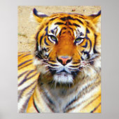 Glaube_Poster Poster (Vorne)