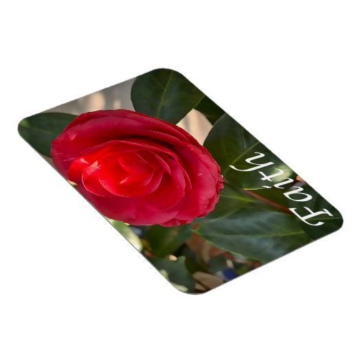 Glaube - Red Camellia Bloom Magnet (Rechte Seite)