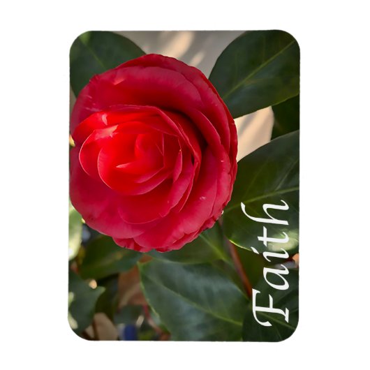 Glaube - Red Camellia Bloom Magnet (Vertikal)