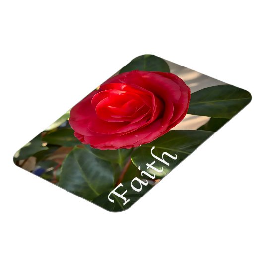 Glaube - Red Camellia Bloom Magnet (Linke Seite)