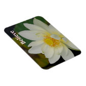 Glauben Lotus Magnet (Rechte Seite)