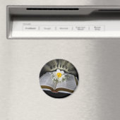 glauben magnet (In Situ (Geschirrspüler))