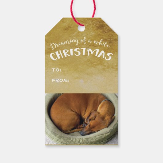 Glauben Sie an die Magie Geschenkanhänger (Rückseite)