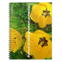 Glauben Sie an Ihr Bestes Potenzial.