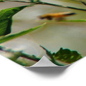 Glauben Sie an Ihr selbst Schmetterling Motivieren Poster (Ecke)